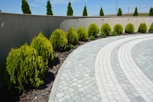 Best Paver Driveway Replacement  in Skidaway Island, GA